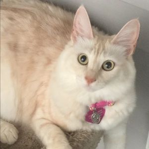 Meet your Posher, Kayla